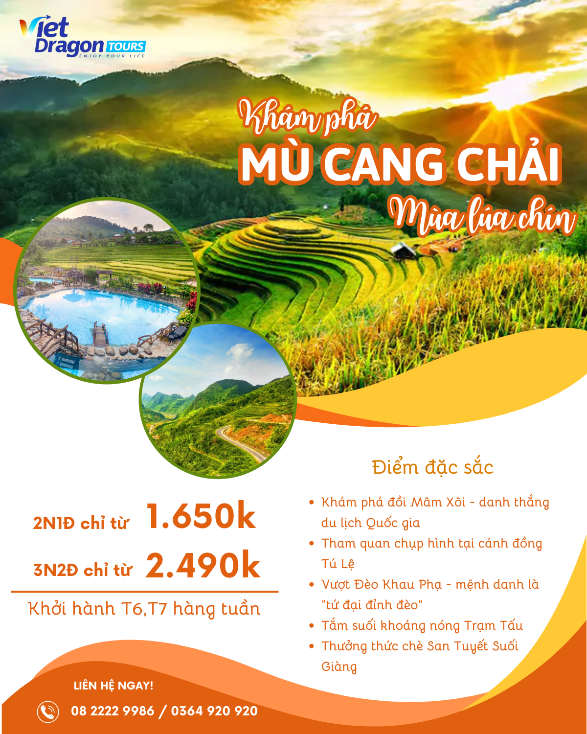 MÙ CANG CHẢI MÙA LÚA CHÍN