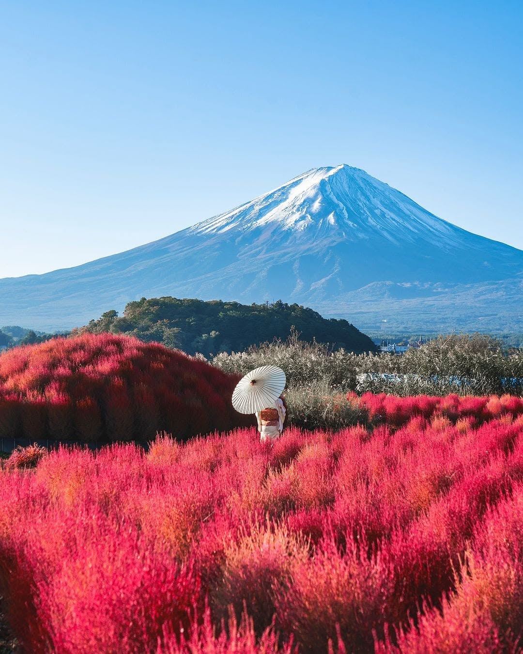 MÙA THU NHẬT BẢN : NAGOYA – NARA – OSAKA – KYOTO – NÚI PHÚ SĨ – TOKYO