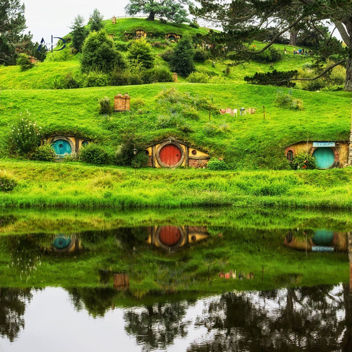 DU LỊCH NEW ZEALAND – VÙNG ĐẤT CỦA DẢI MÂY TRẮNG (ĐẢO BẮC)