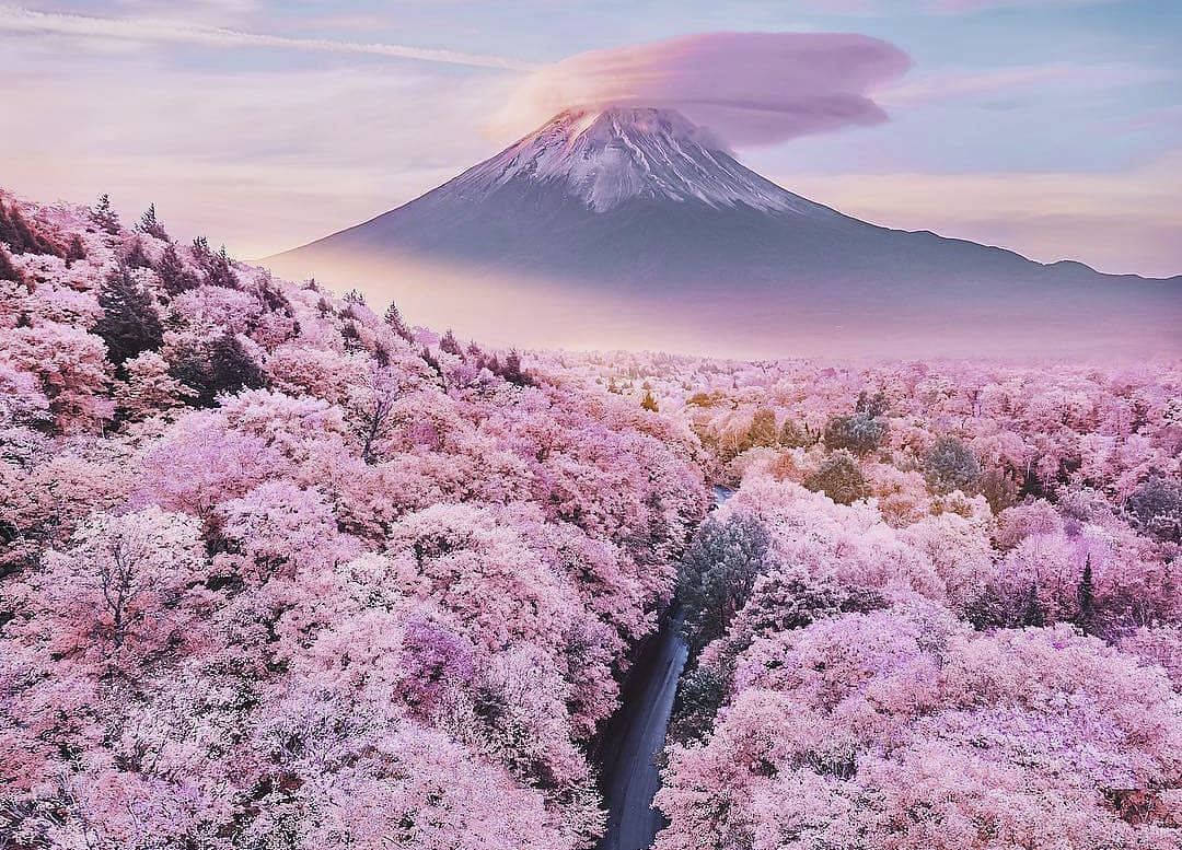 KHÁM PHÁ NHẬT BẢN MÙA HOA ANH ĐÀO 2026