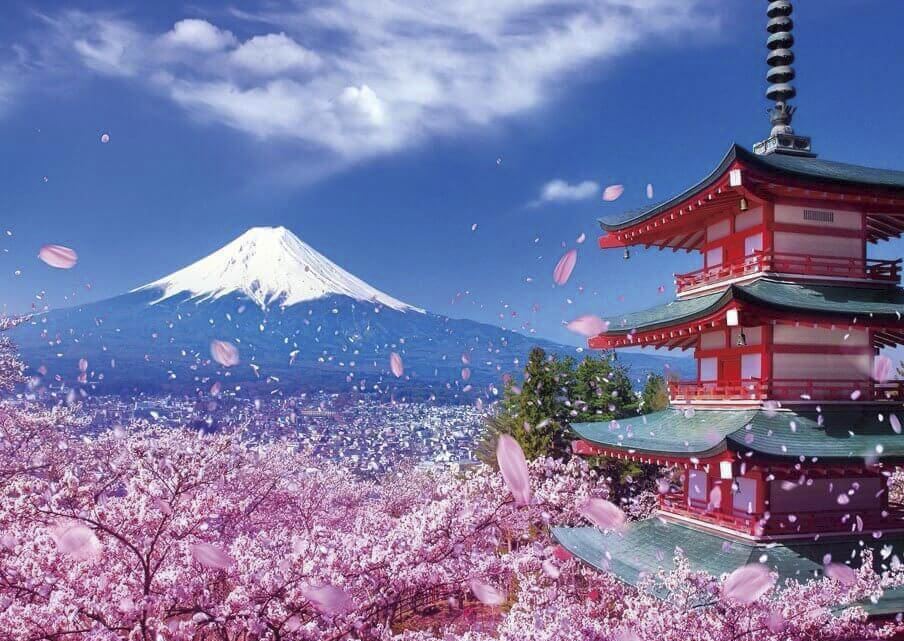 NHẬT BẢN MÙA HOA ANH ĐÀO 2026