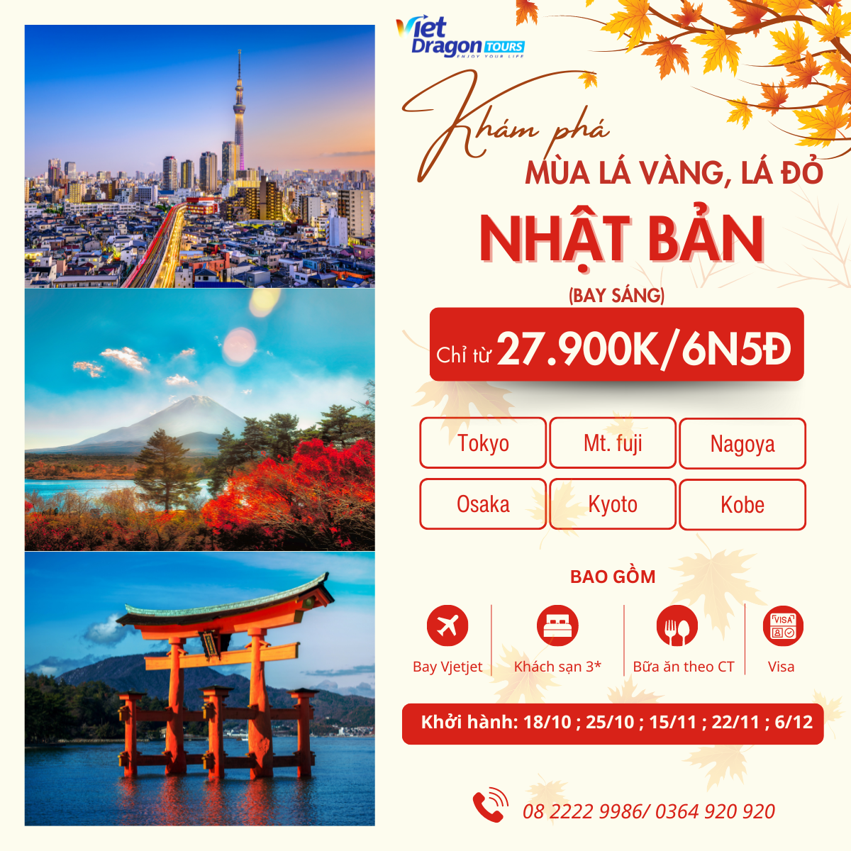 KHÁM PHÁ MÙA LÁ VÀNG LÁ ĐỎ NHẬT BẢN 6N5Đ BAY VIETJET AIR