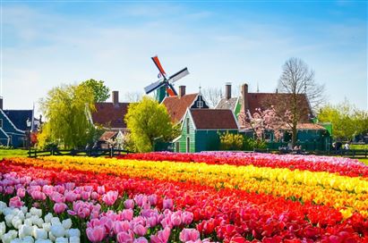 Thủ tục xin visa Hà Lan 